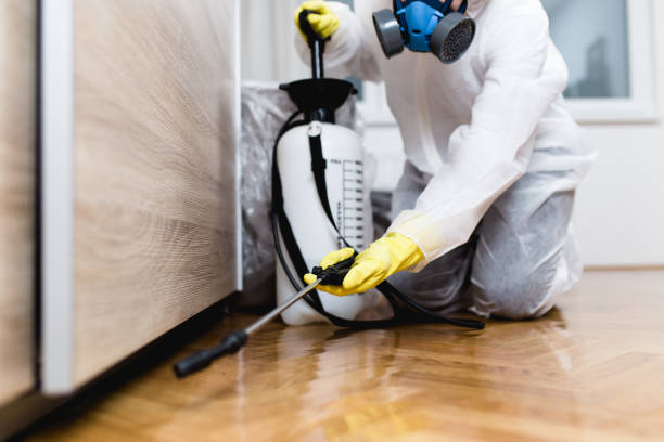 Best Bed Bug Extermination  in Jeffersonville, IN
