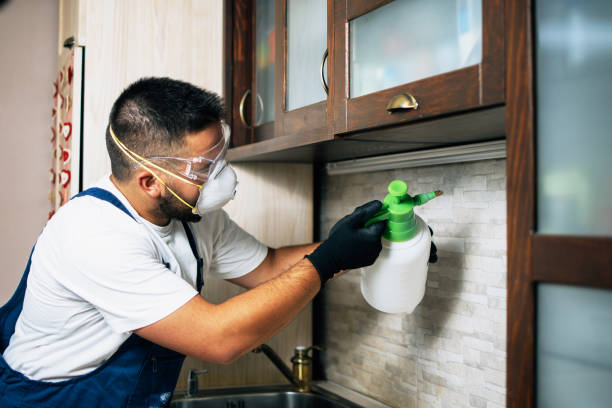 Best Pest Removal Services  in Jeffersonville, IN