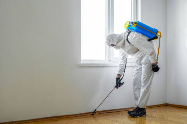 Best Mosquito Control Services  in Jeffersonville, IN