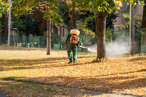 Best Pest Control Near Me  in Jeffersonville, IN