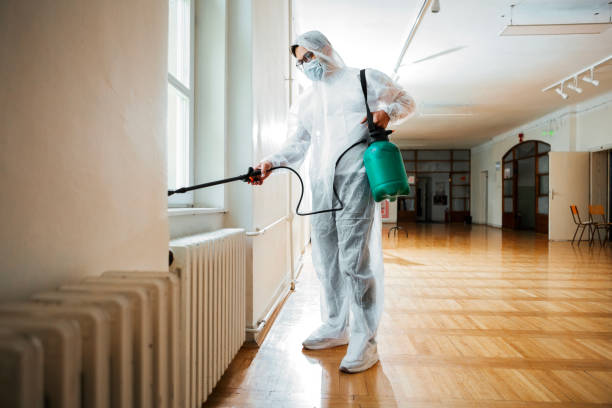 Best Flea Control Services  in Jeffersonville, IN