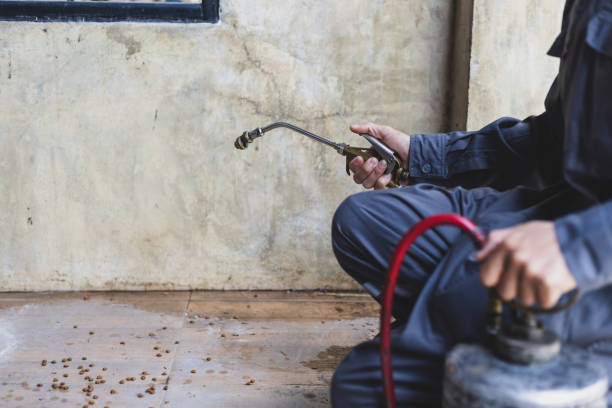 Wasp Removal Services in Jeffersonville, IN